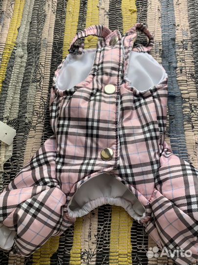 Одежда для маленьких собак