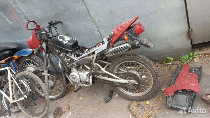 Зид 50 пилот01