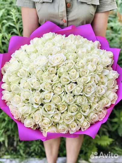 101 роза Цветы