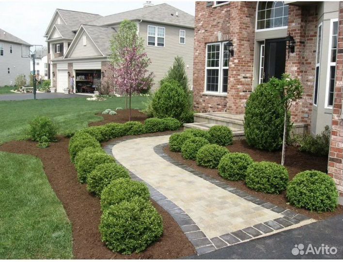 Ландшафтное проектирование, питомник растений