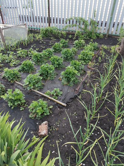 Дом 20 м² на участке 6 сот.