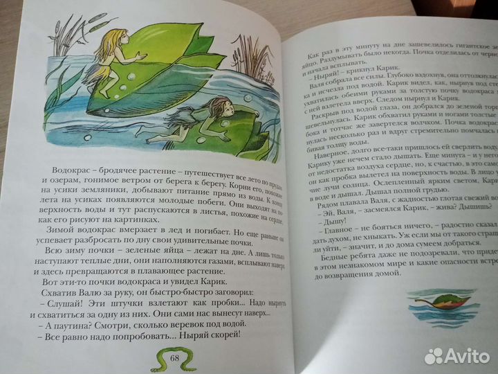 Книга Ян Ларри Приключения Карика и Вали