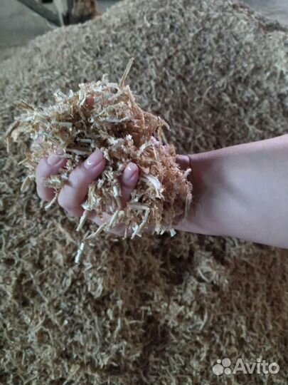 Стружка липа сухая