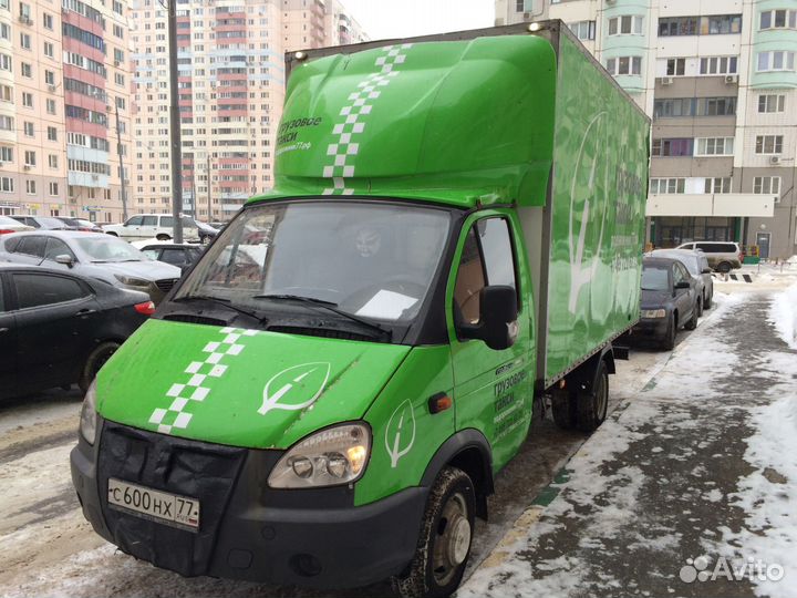 Печора транспортные компании. Муравей печора. Муравей печора грузоперевозки. Грузоперевозки печора. Муравей грузовое такси.