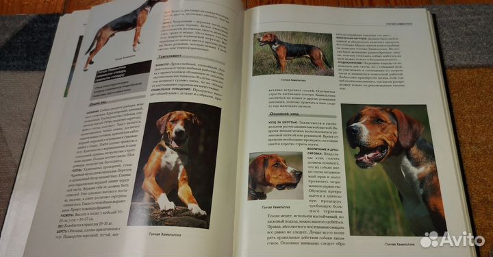 Собаки. Большая энциклопедия