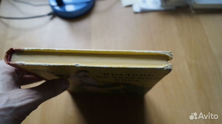 Всадник на зеленом коне. Китайские сказки, легенды