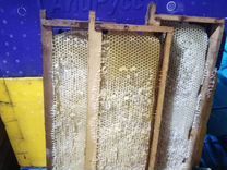 Рамки с сушью для пчёл, Ульи ППУ, Нижегородец