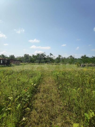 Участок 10 сот. (СНТ, ДНП)