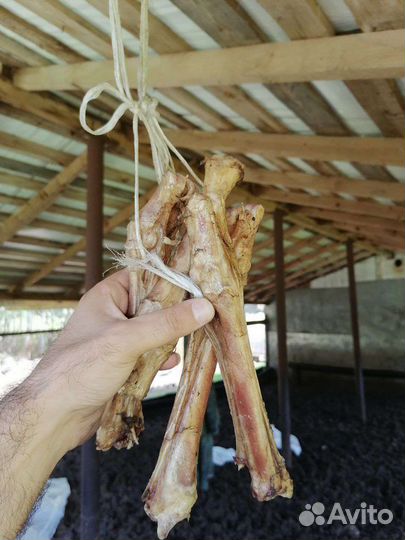 Сухое лакомство для собак натуральный корм