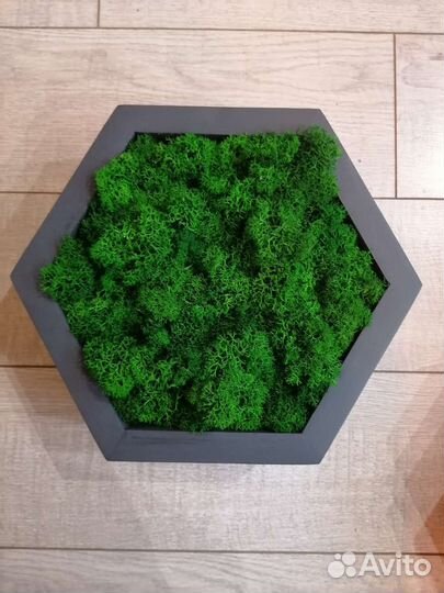 Комплект с панно со мхом