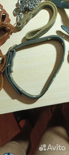 Шлейка для крупной собаки(овчарка немецкая)