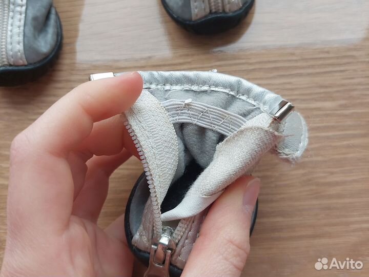 Обувь для собак