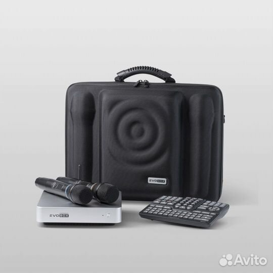 Караоке Evobox Plus серебро