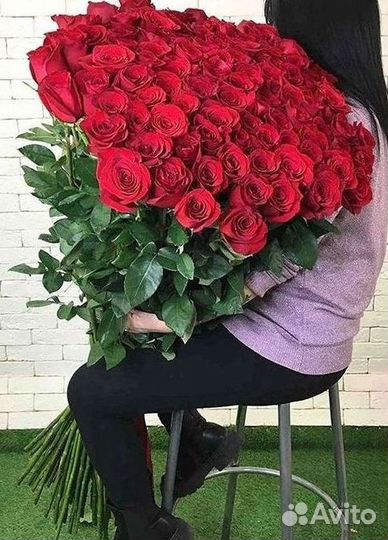 Розы Букеты Цветы Розы 31 101 151 201 Доставка