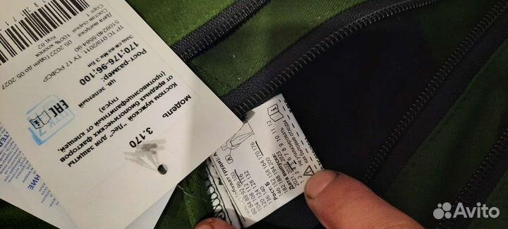 Инцефалитка