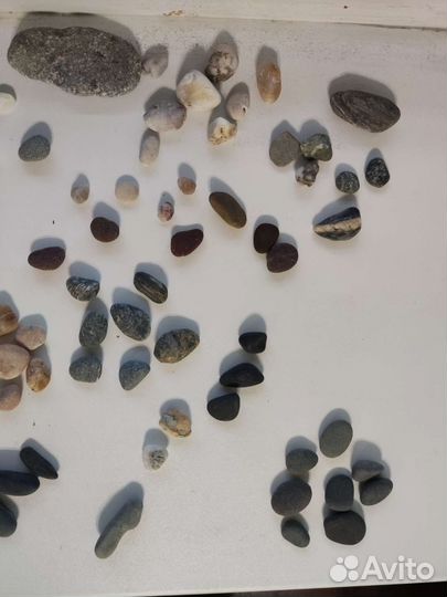 Камни с берега Черного моря у г. Сочи (115 шт.)
