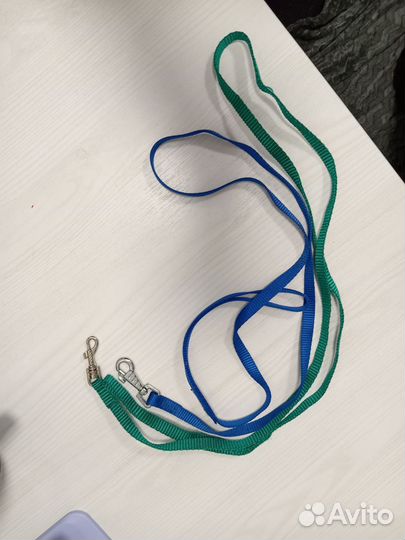 Амуниция для собак