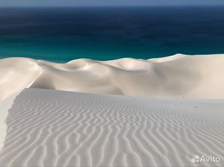 Тур на о. Сокотра