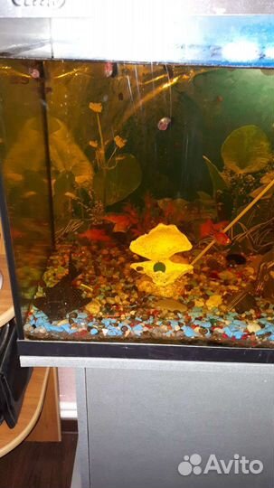 Аквариум с тумбой