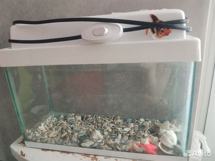 Аквариум