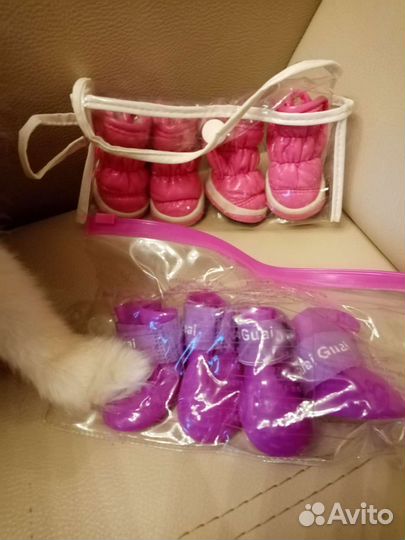 Обувь для маленькой собачки