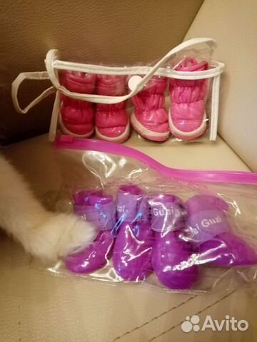 Обувь для маленькой собачки