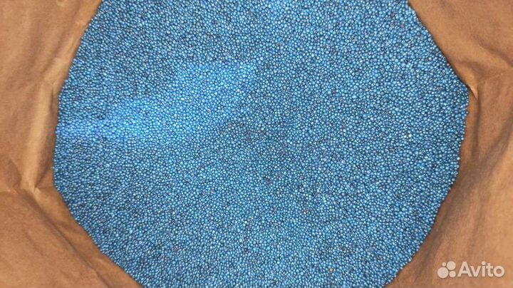 Семена рапса