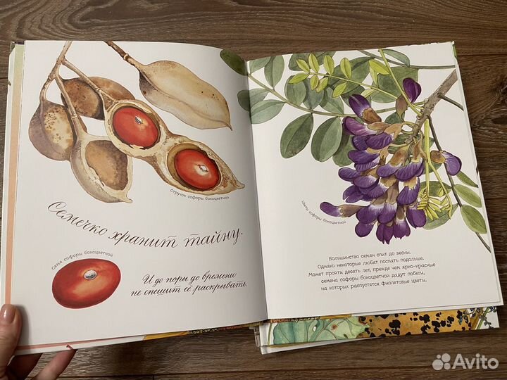 Познавательные детские книги разных издательств