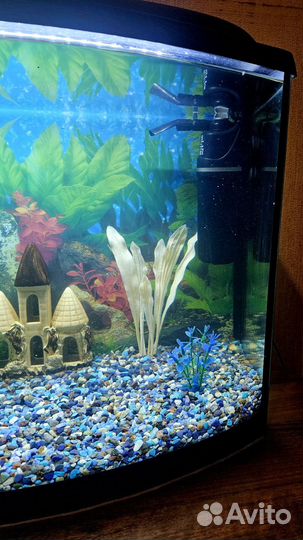 Аквариум