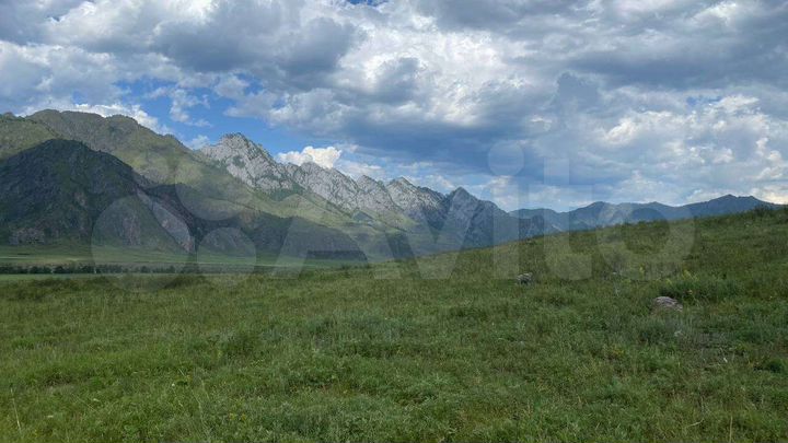 Участок 4 га (СНТ, ДНП)