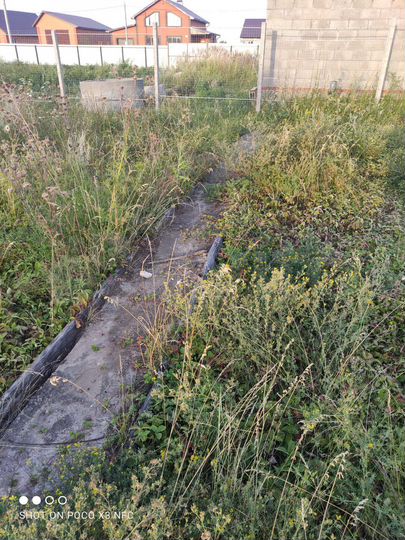 Участок 10,7 сот. (ИЖС)