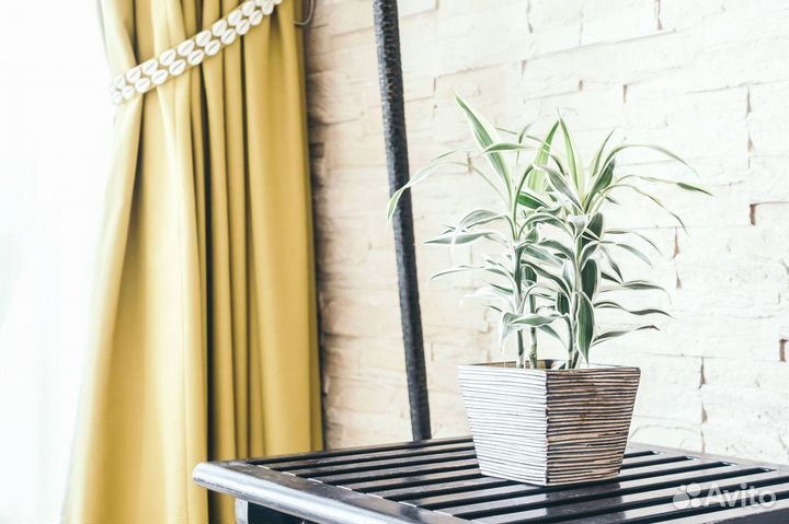 Пошив штор из европейских тканей