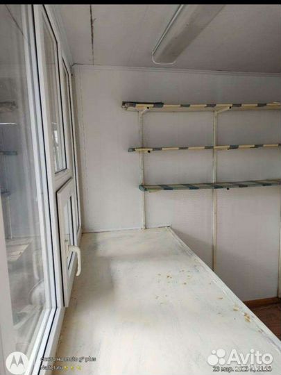 Жеребчик обмен