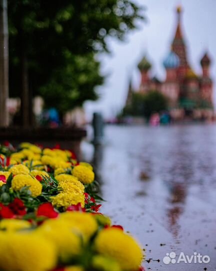 Подготовка к школе, логопедические занятия