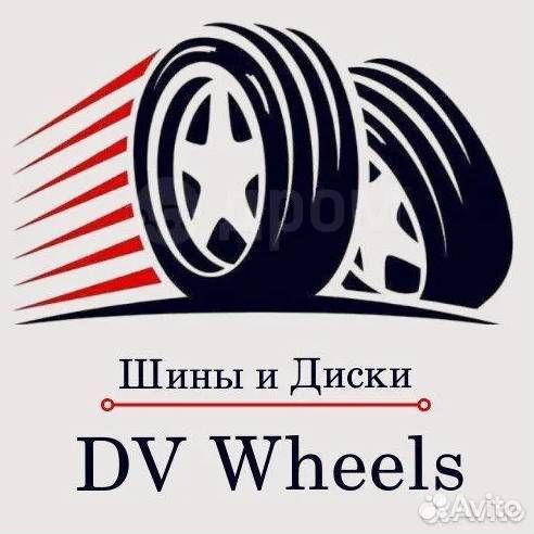 Bridgestone Blizzak DM-V2 235/65 R18