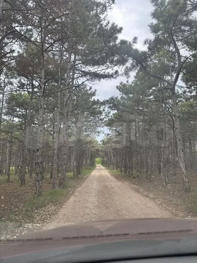 Участок 11,4 сот. (СНТ, ДНП)