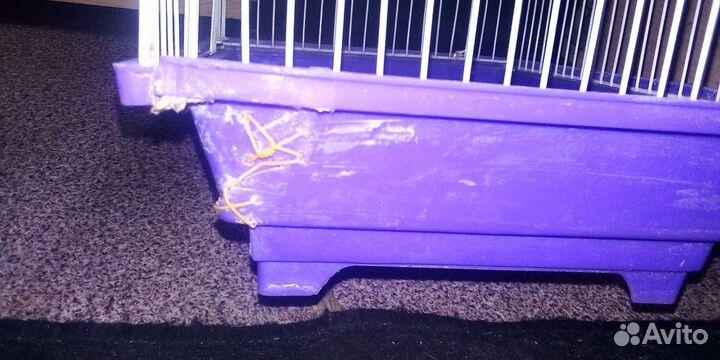 Клетка для попугая бу