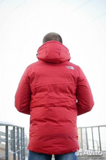 Куртка мужская TNF