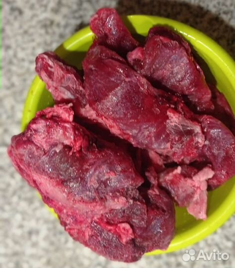 Натуральный Корм для ваших любимых питомцев