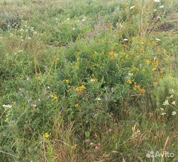 Сено в Тюках