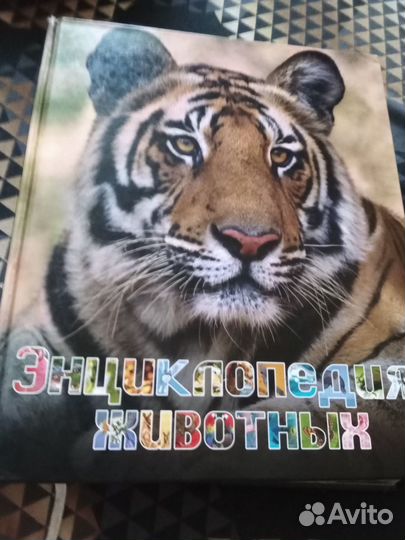Энциклопедия животных