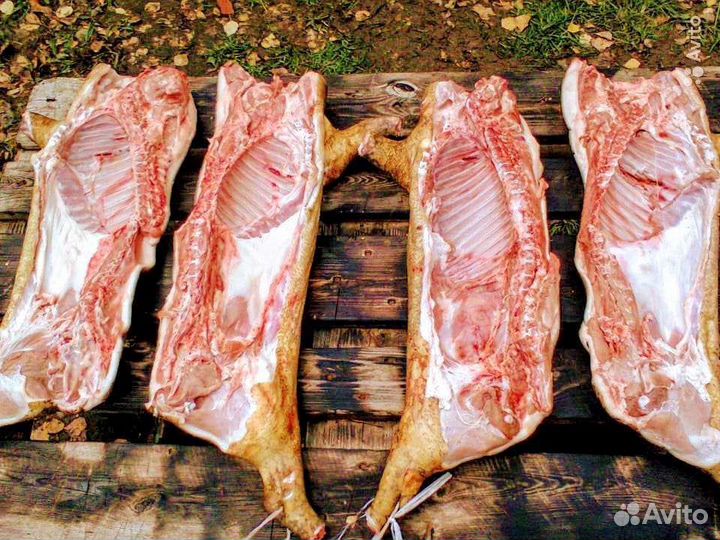 Мясо свинина домашняя