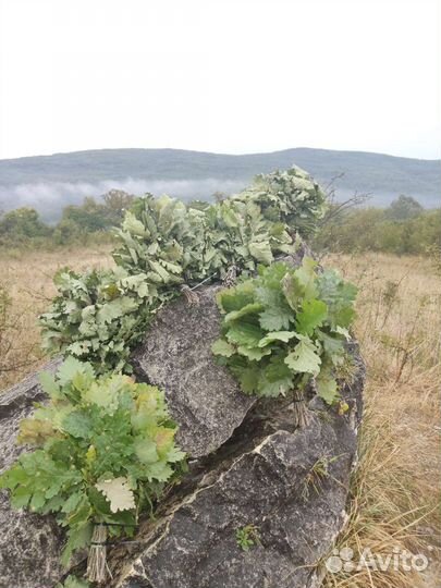 Дубовые веники