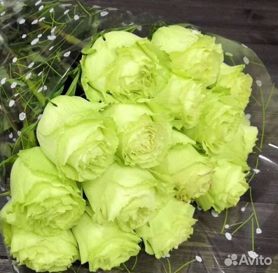 Саженцы роз Васаби принимаю заказы на осень 2023г