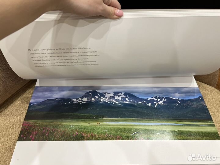 Подарочная Книга Томас Д. Мэнгельсен Дикая природа