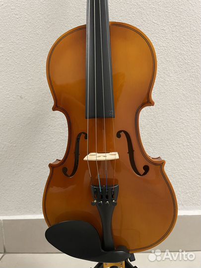 Скрипка для начинающих