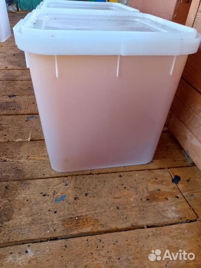 Мед подсолнечный