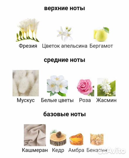 Narciso rodriguez Cristal