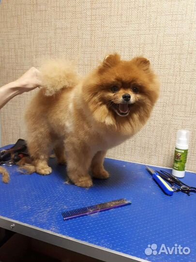 Шпицы для вязки