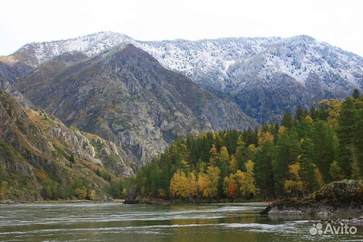 Моторафтинг на Катуни